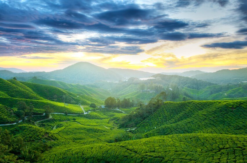 Agoda’s Leading Picks for the Long Weekend– Gaya Travel Magazine