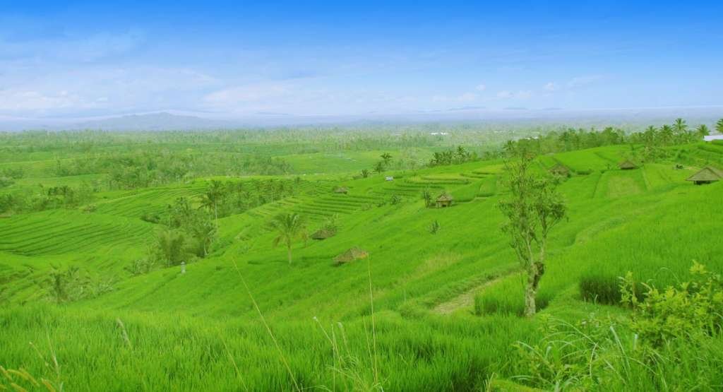 Where to Find Amazing Landscapes in Bali